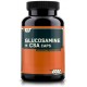 Glucosamine Plus CSA Caps (120капс)